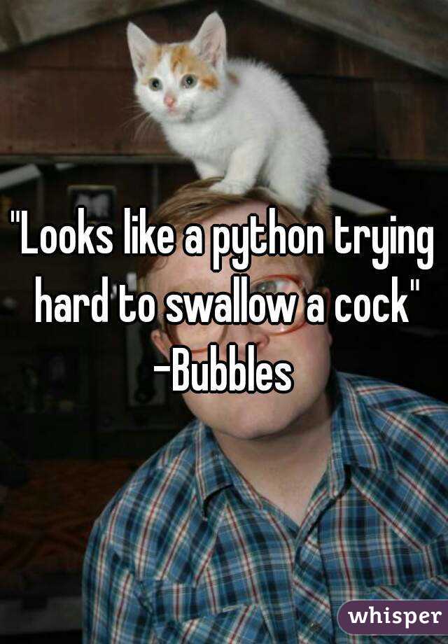 "Looks like a python trying hard to swallow a cock"
-Bubbles