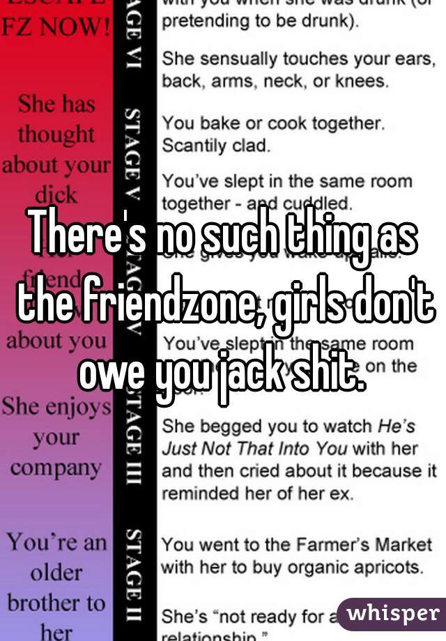 There's no such thing as the friendzone, girls don't owe you jack shit. 