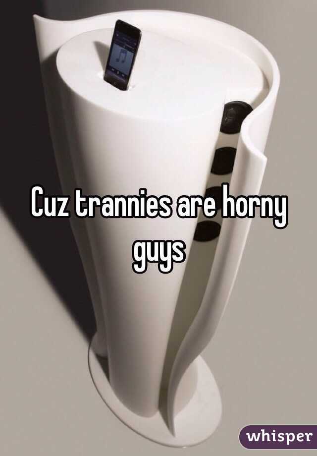 Cuz trannies are horny guys