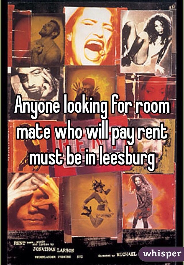 Anyone looking for room mate who will pay rent must be in leesburg