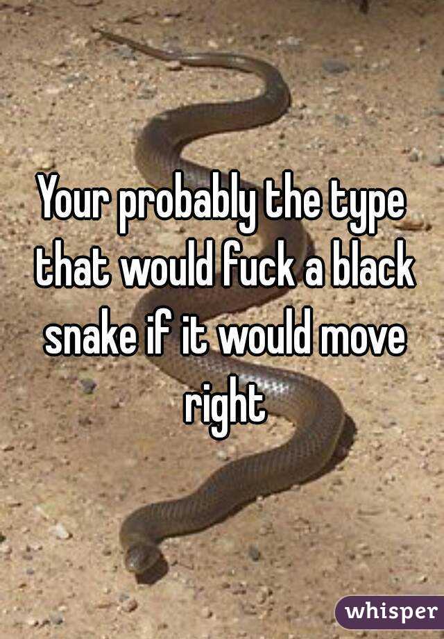 Your probably the type that would fuck a black snake if it would move right