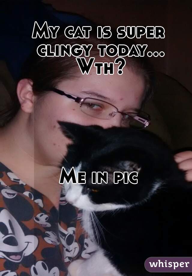 My cat is super clingy today... Wth?





Me in pic