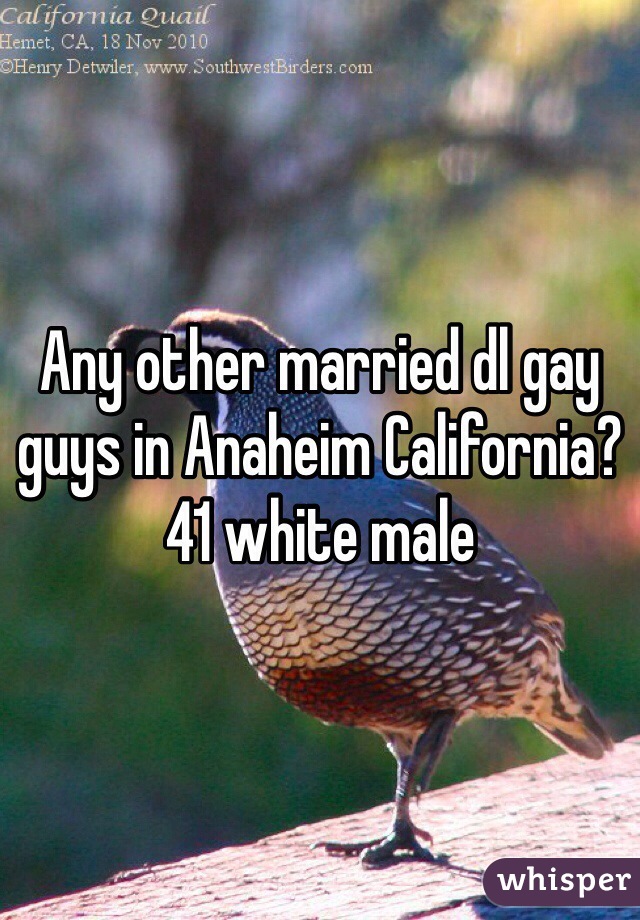 Any other married dl gay guys in Anaheim California? 41 white male