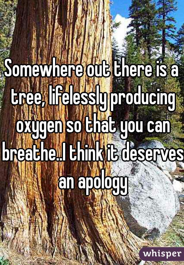 Somewhere out there is a tree, lifelessly producing oxygen so that you can breathe..I think it deserves an apology