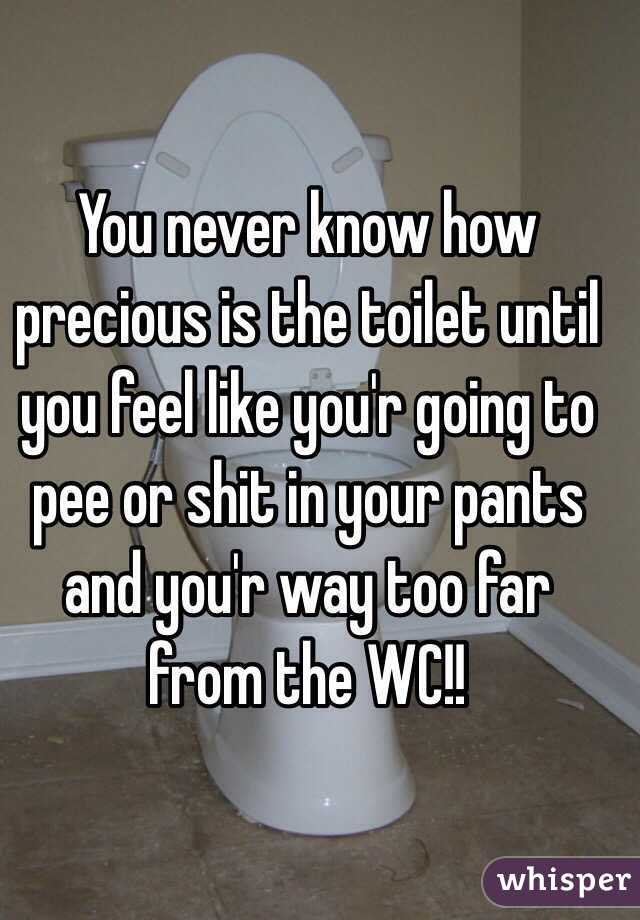 You never know how precious is the toilet until you feel like you'r going to pee or shit in your pants and you'r way too far from the WC!!