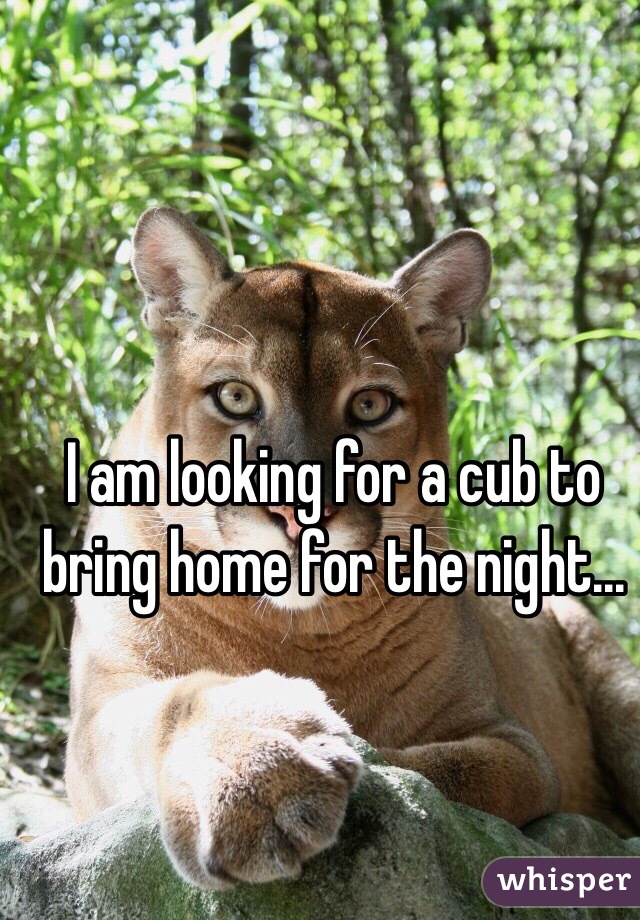 I am looking for a cub to bring home for the night...