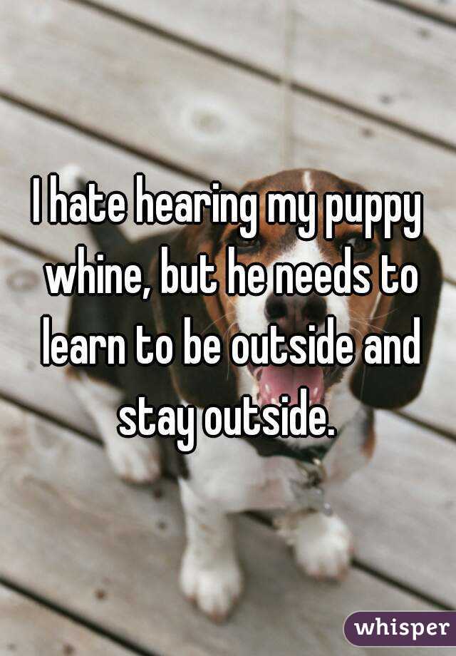 I hate hearing my puppy whine, but he needs to learn to be outside and stay outside. 