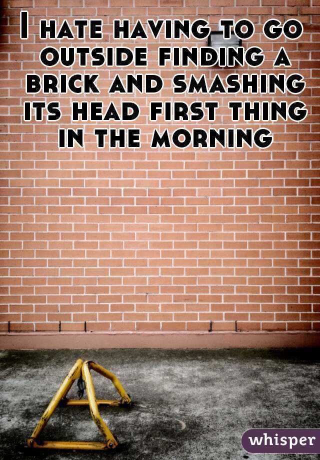 I hate having to go outside finding a brick and smashing its head first thing in the morning
