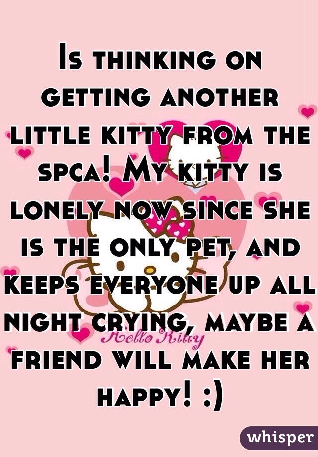 Is thinking on getting another little kitty from the spca! My kitty is lonely now since she is the only pet, and keeps everyone up all night crying, maybe a friend will make her happy! :)