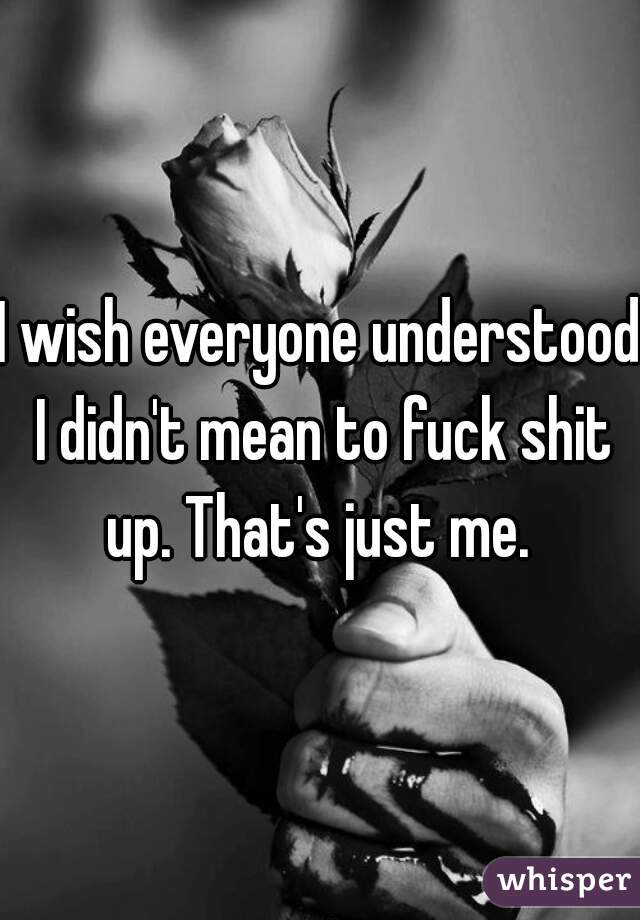 I wish everyone understood I didn't mean to fuck shit up. That's just me. 