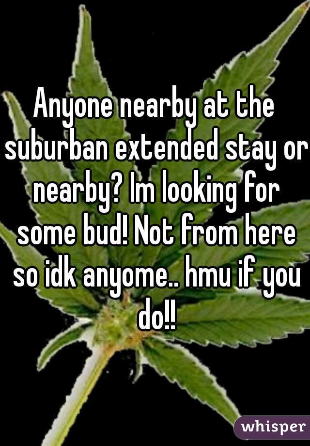 Anyone nearby at the suburban extended stay or nearby? Im looking for some bud! Not from here so idk anyome.. hmu if you do!!