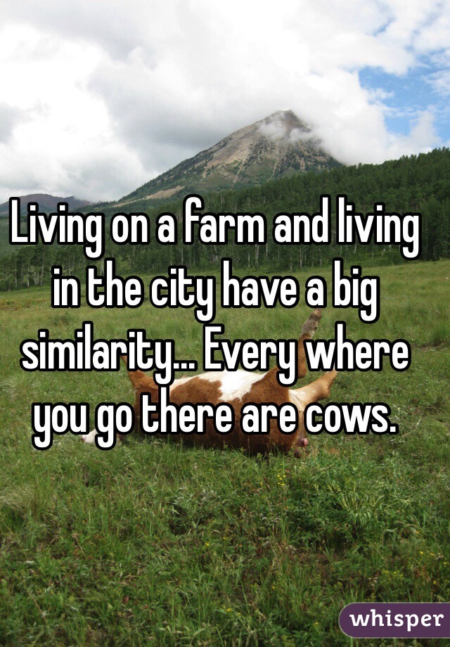 Living on a farm and living in the city have a big similarity... Every where you go there are cows. 