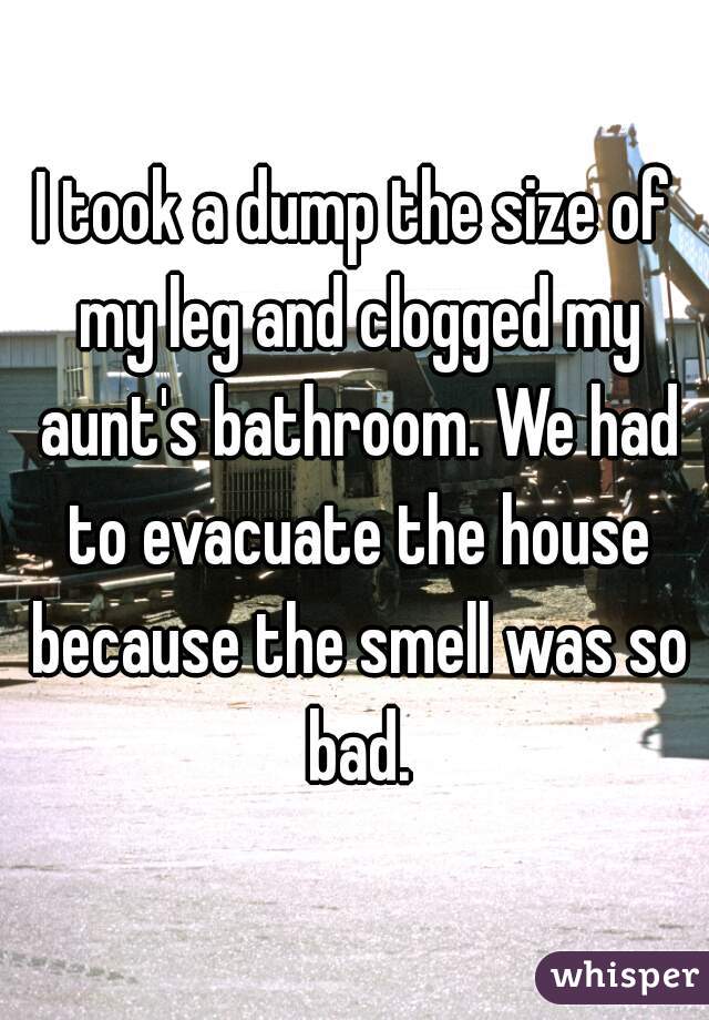 I took a dump the size of my leg and clogged my aunt's bathroom. We had to evacuate the house because the smell was so bad.
