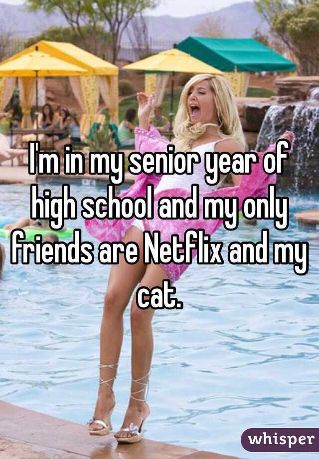I'm in my senior year of high school and my only friends are Netflix and my cat. 