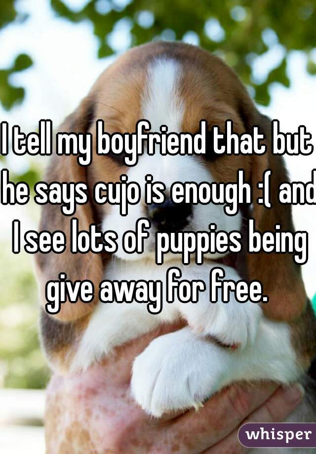 I tell my boyfriend that but he says cujo is enough :( and I see lots of puppies being give away for free. 