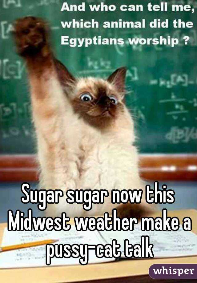 Sugar sugar now this Midwest weather make a pussy-cat talk