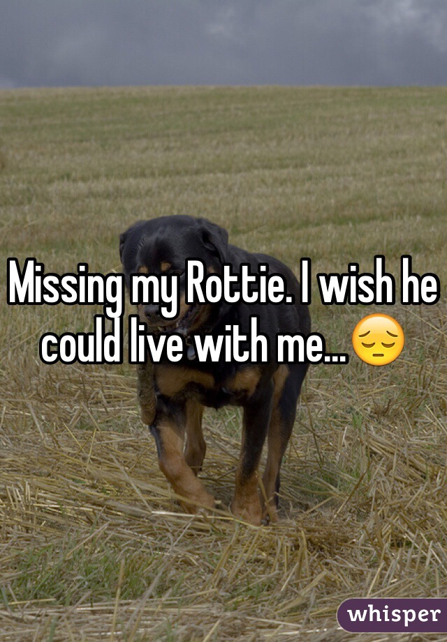 Missing my Rottie. I wish he could live with me...😔