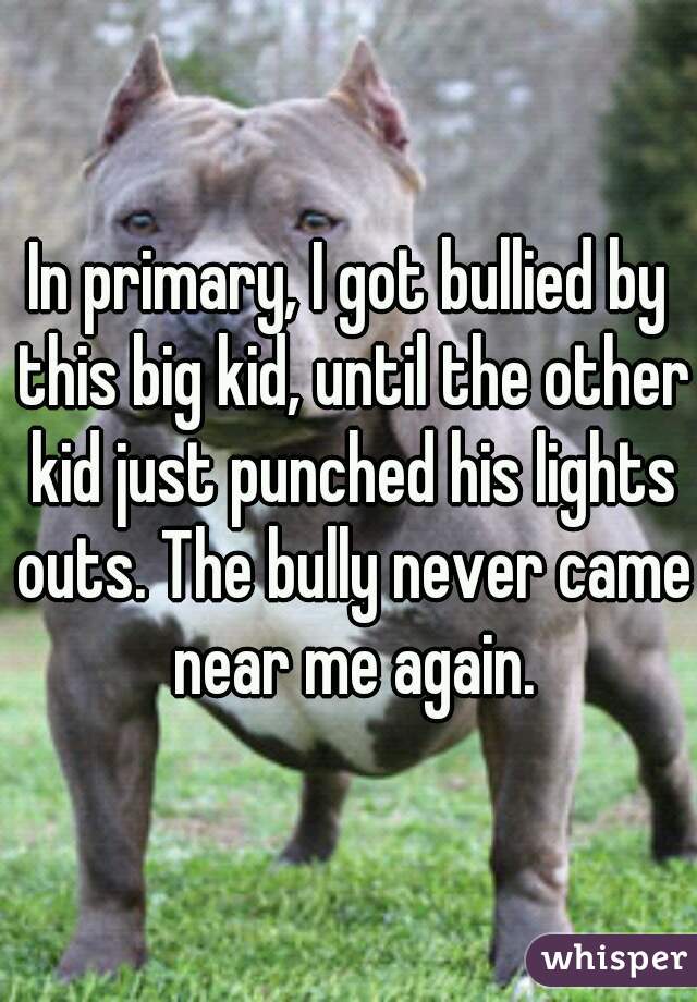In primary, I got bullied by this big kid, until the other kid just punched his lights outs. The bully never came near me again.