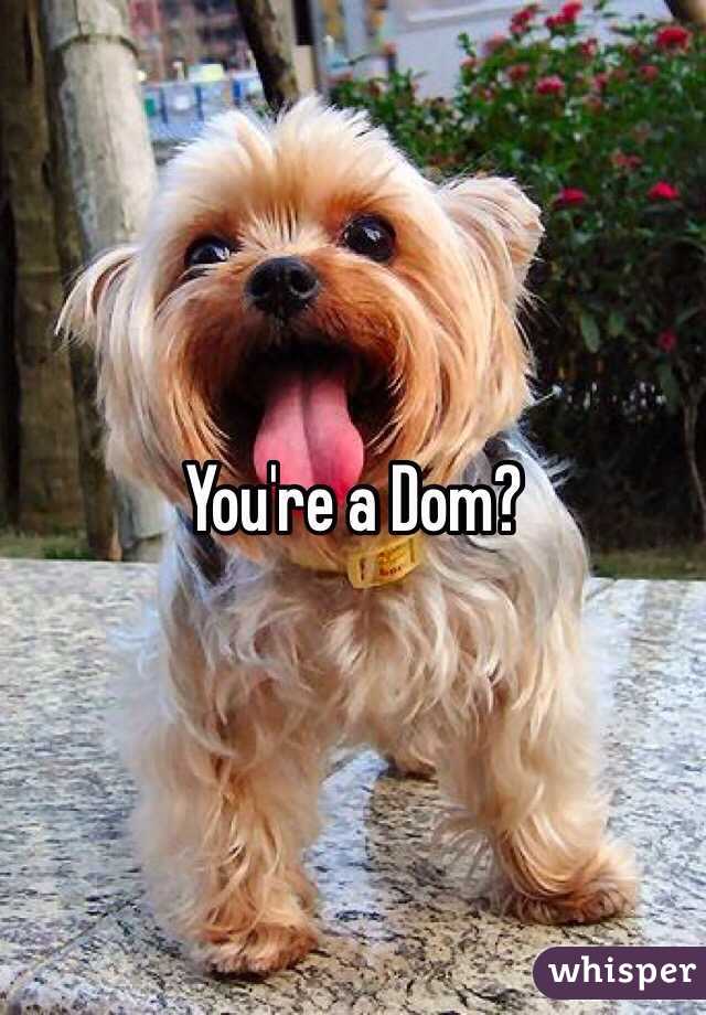 You're a Dom?