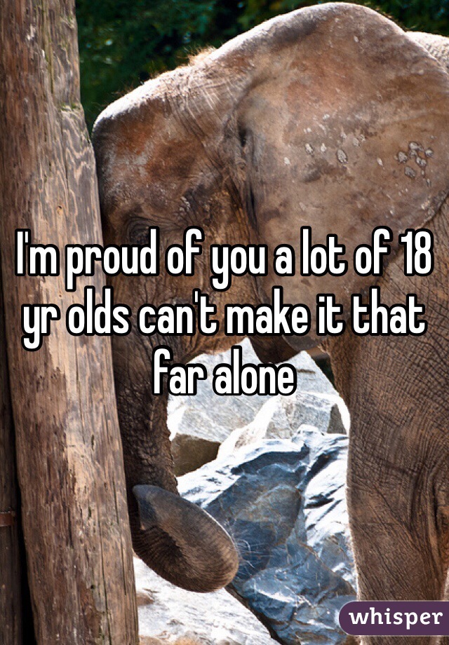 I'm proud of you a lot of 18 yr olds can't make it that far alone