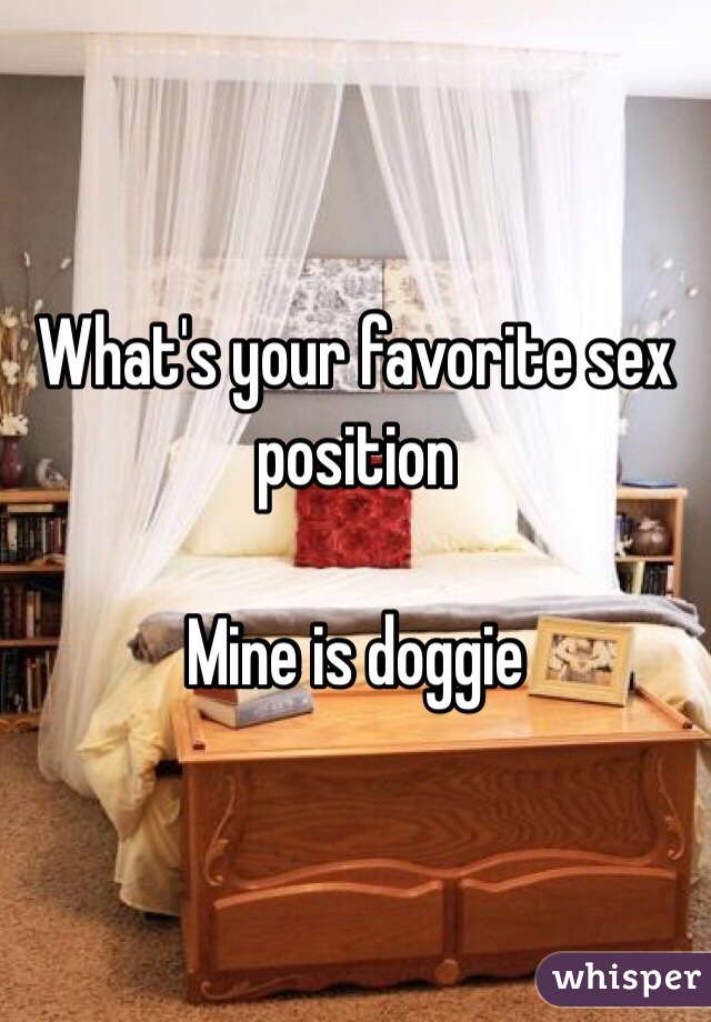 What's your favorite sex position 

Mine is doggie
