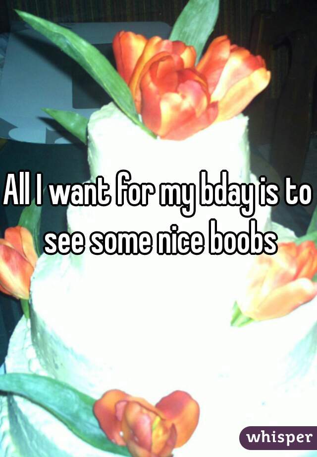 All I want for my bday is to see some nice boobs