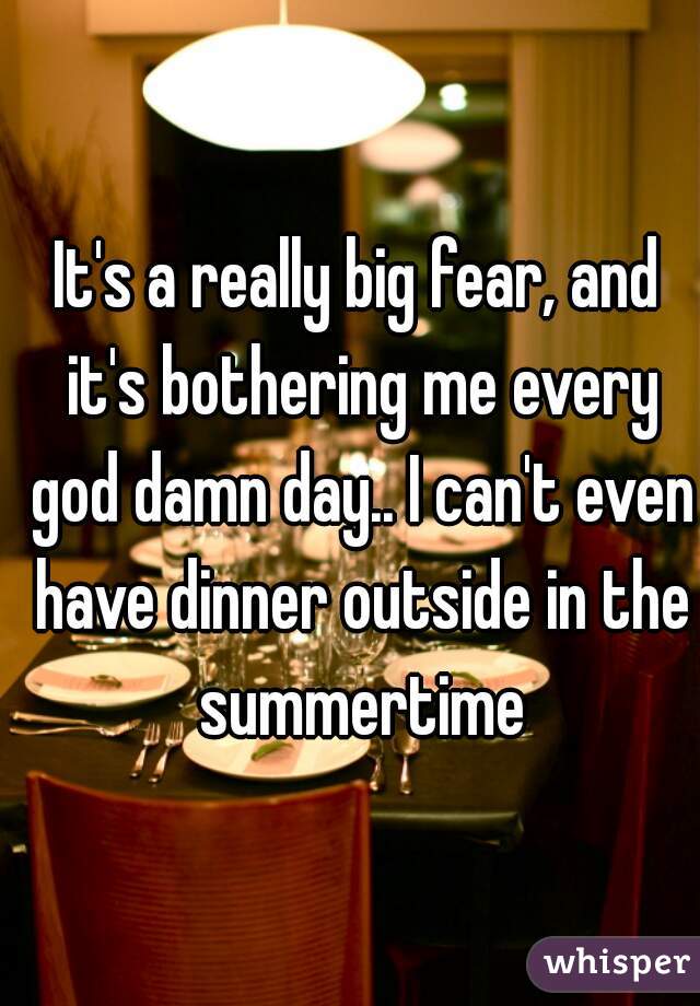 It's a really big fear, and it's bothering me every god damn day.. I can't even have dinner outside in the summertime