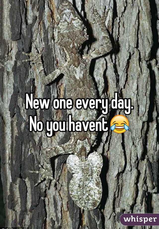 New one every day.
No you havent😂