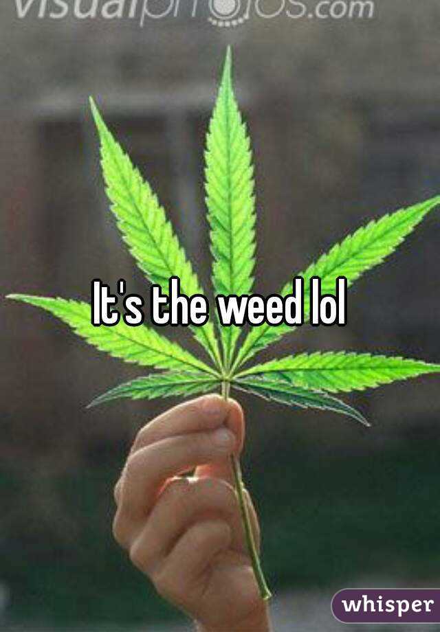 It's the weed lol