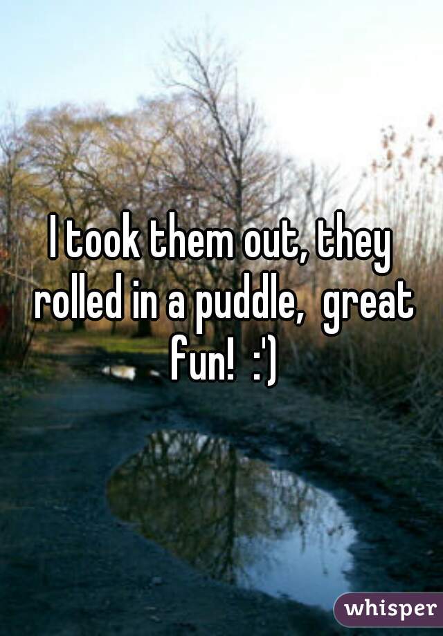 I took them out, they rolled in a puddle,  great fun!  :')