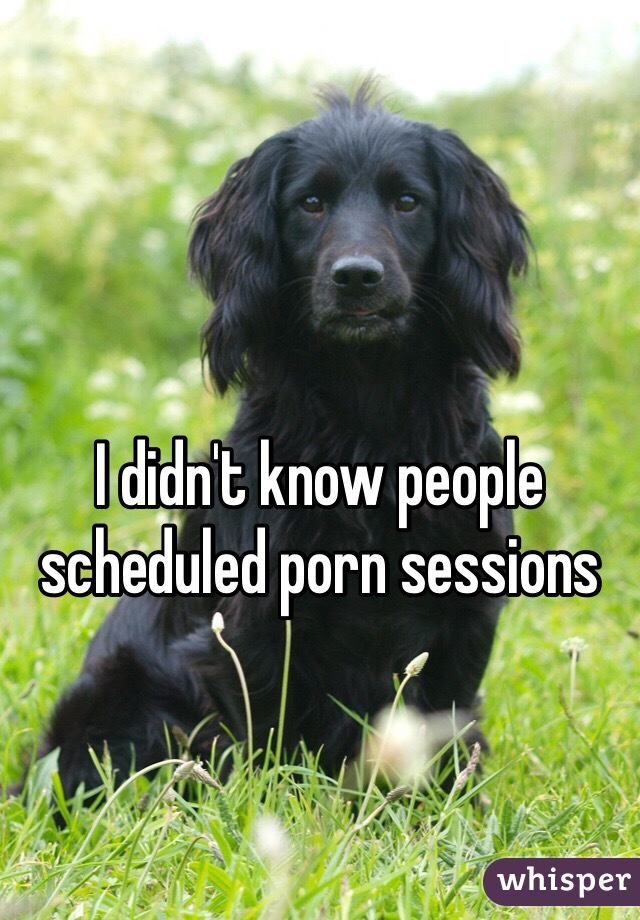 I didn't know people scheduled porn sessions
