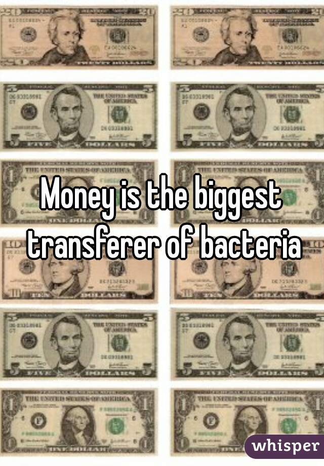 Money is the biggest transferer of bacteria