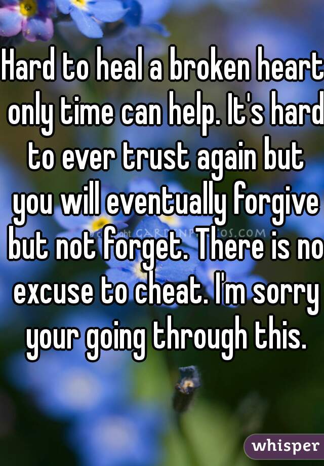 Hard to heal a broken heart only time can help. It's hard to ever trust again but you will eventually forgive but not forget. There is no excuse to cheat. I'm sorry your going through this.