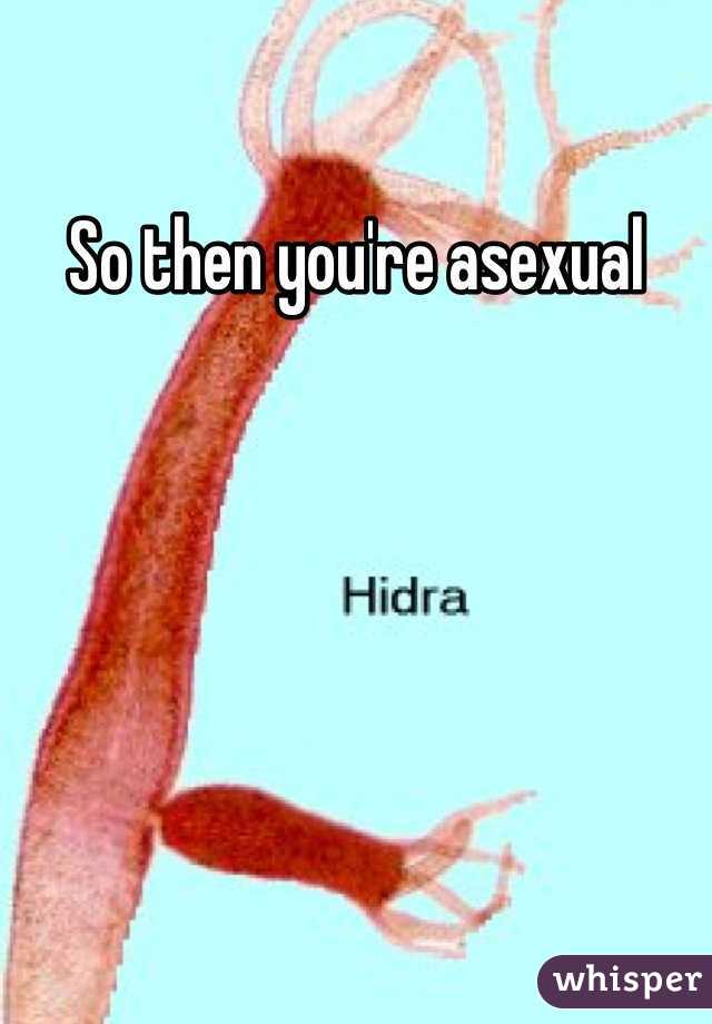 So then you're asexual
