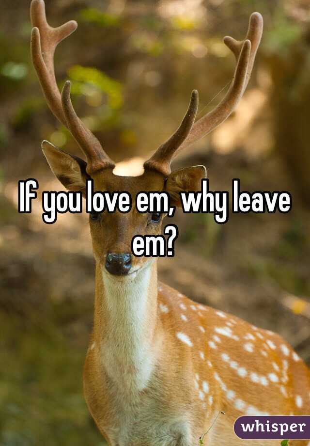 If you love em, why leave em?