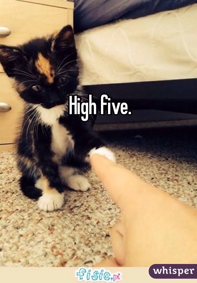 High five. 