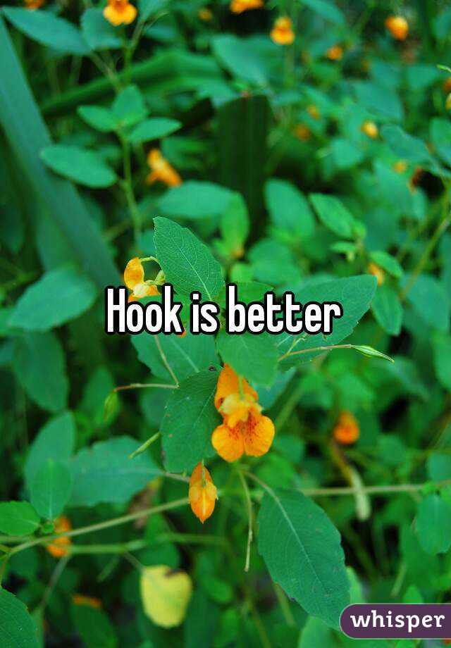 Hook is better