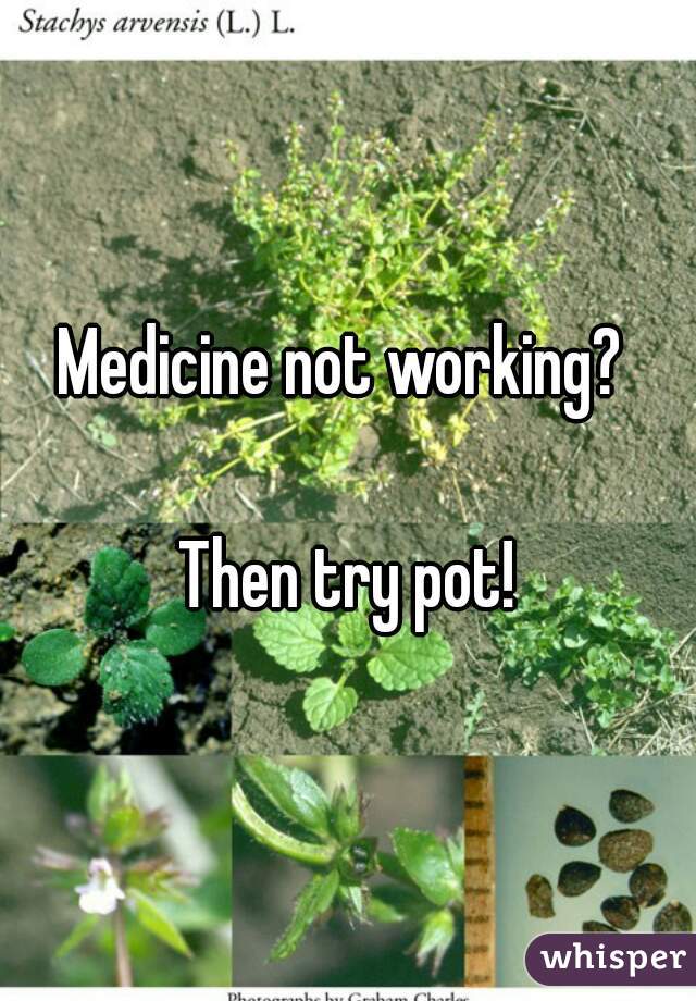 Medicine not working? 

Then try pot!