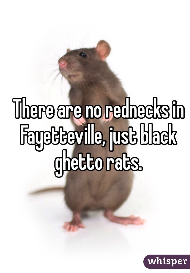 There are no rednecks in Fayetteville, just black ghetto rats.