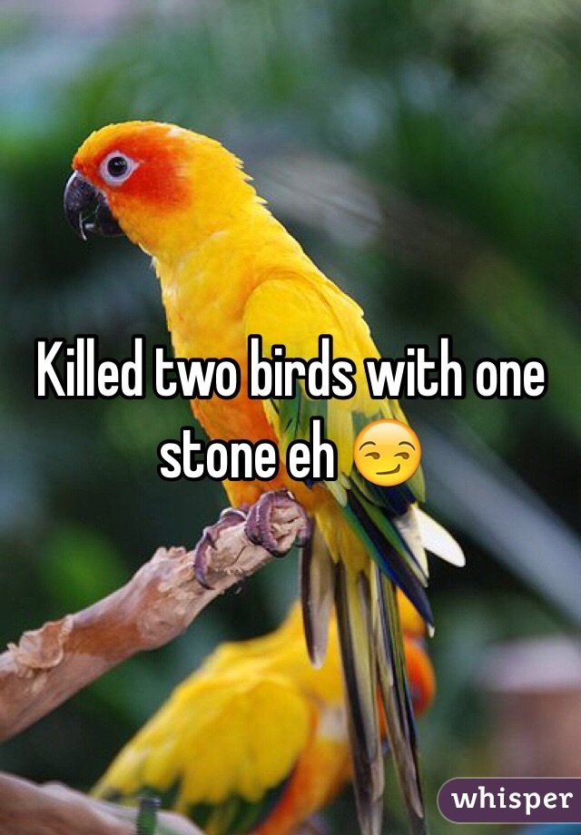 Killed two birds with one stone eh 😏