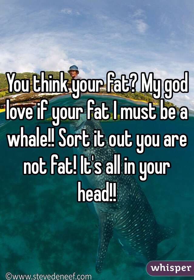 You think your fat? My god love if your fat I must be a whale!! Sort it out you are not fat! It's all in your head!!