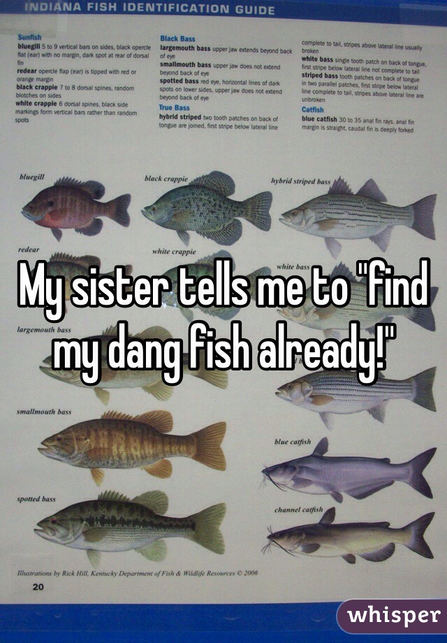 My sister tells me to "find my dang fish already!"