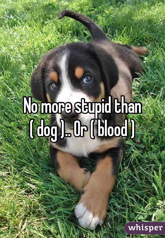 No more stupid than ( dog ).. Or ( blood )
