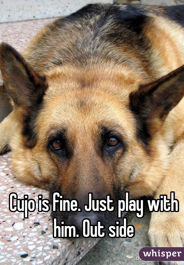 Cujo is fine. Just play with him. Out side 