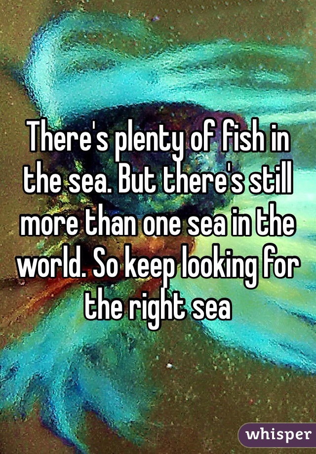 There's plenty of fish in the sea. But there's still more than one sea in the world. So keep looking for the right sea