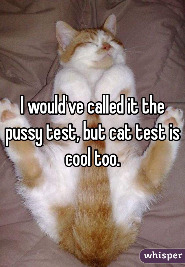 I would've called it the pussy test, but cat test is cool too.