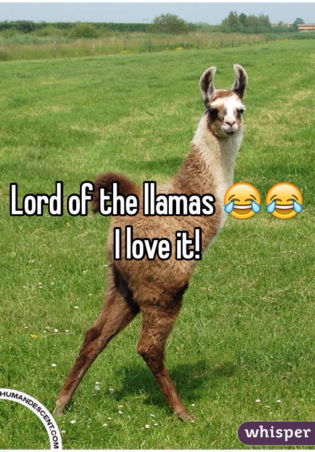 Lord of the llamas 😂😂
I love it!