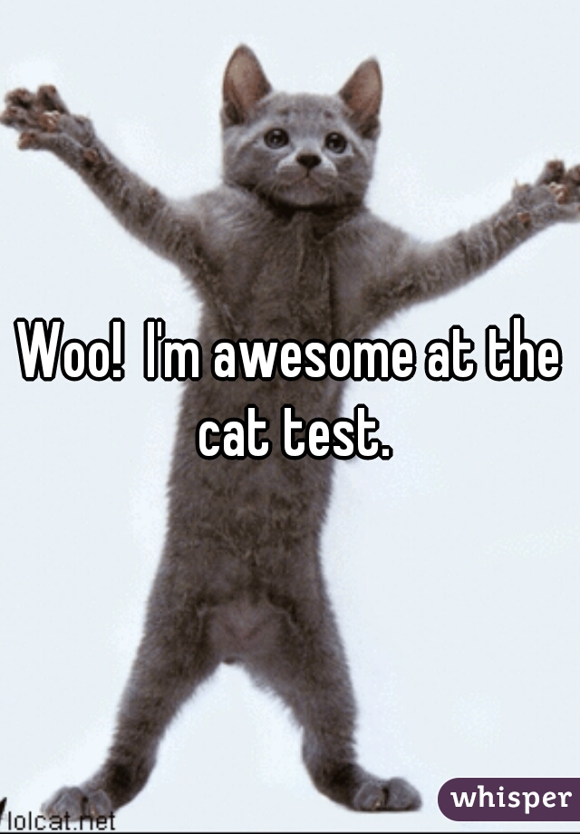 Woo!  I'm awesome at the cat test.