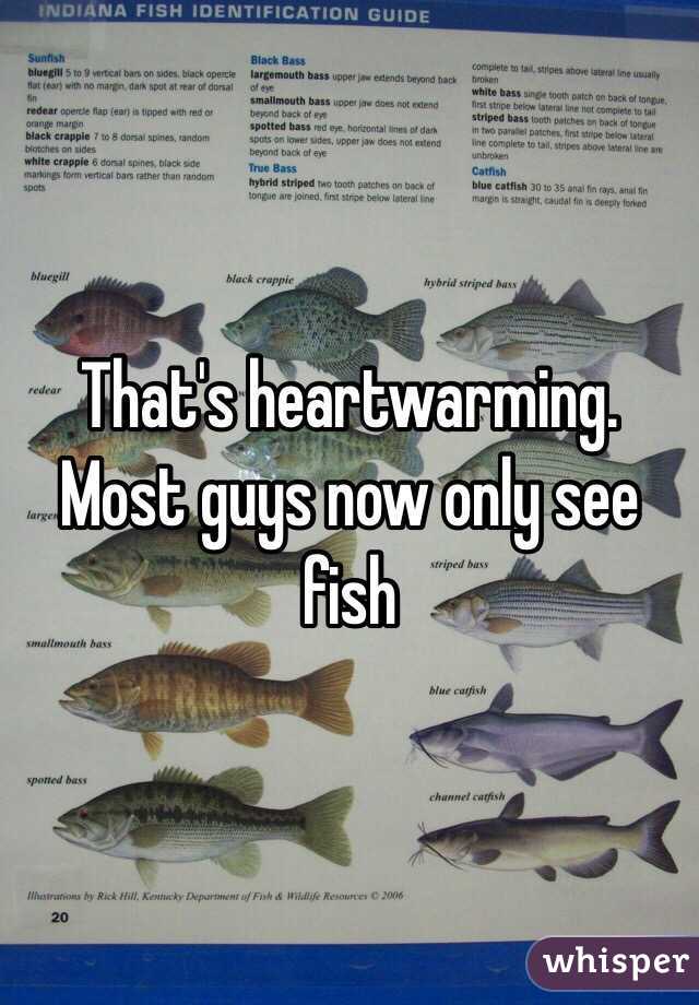 That's heartwarming. Most guys now only see fish 