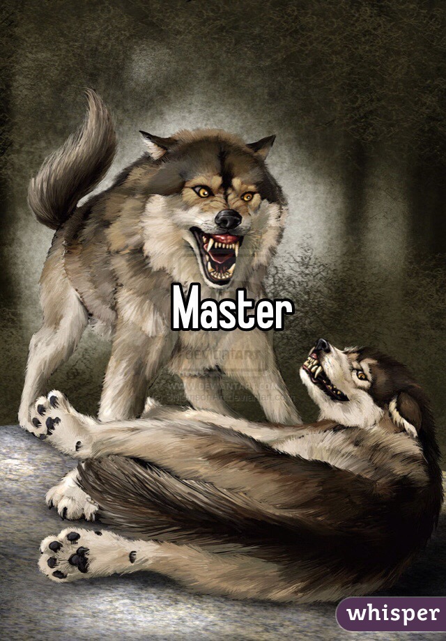 Master
